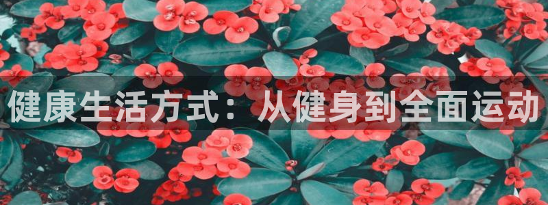 健康生活方式：从健身到全面运动