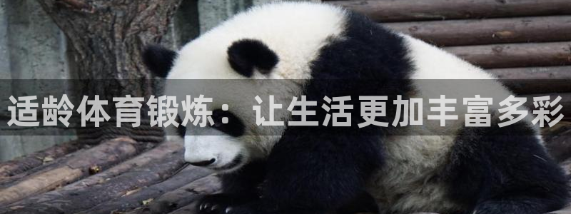 适龄体育锻炼：让生活更加丰富多彩