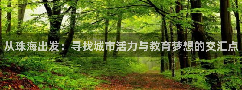 从珠海出发：寻找城市活力与教育梦想的交汇点