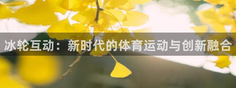 冰轮互动：新时代的体育运动与创新融合
