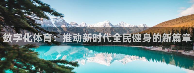 数字化体育：推动新时代全民健身的新篇章