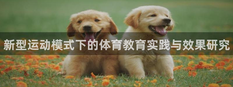 新型运动模式下的体育教育实践与效果研究