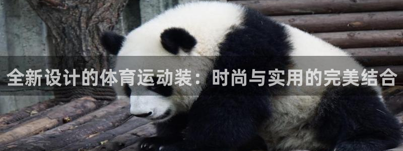 全新设计的体育运动装：时尚与实用的完美结合