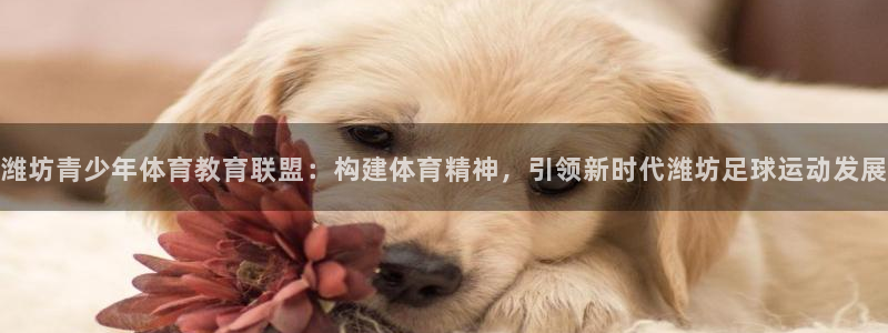 潍坊青少年体育教育联盟：构建体育精神，引领新时代潍坊足球运动发展