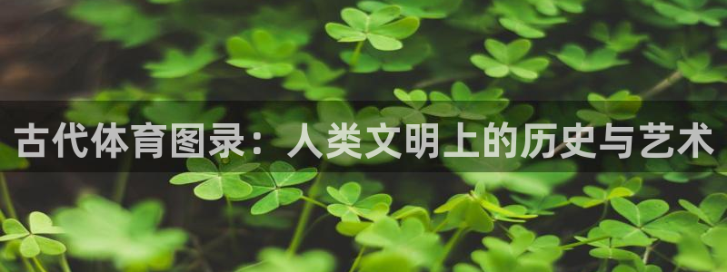 古代体育图录：人类文明上的历史与艺术