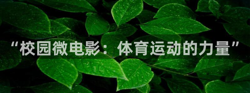 “校园微电影：体育运动的力量”
