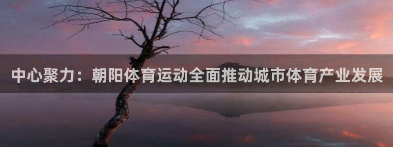 中心聚力：朝阳体育运动全面推动城市体育产业发展