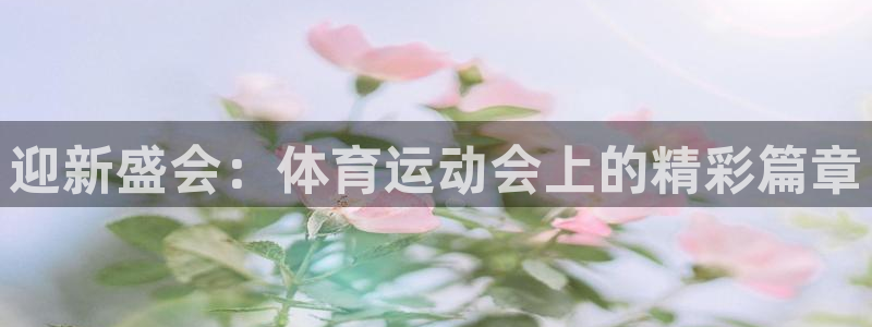 迎新盛会：体育运动会上的精彩篇章