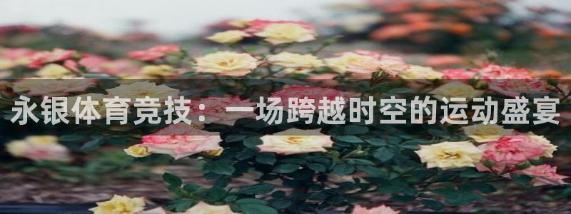 永银体育竞技：一场跨越时空的运动盛宴