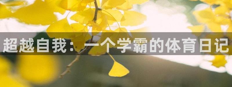 超越自我：一个学霸的体育日记