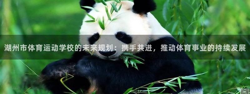 湖州市体育运动学校的未来规划：携手共进，推动体育事业的持续发展