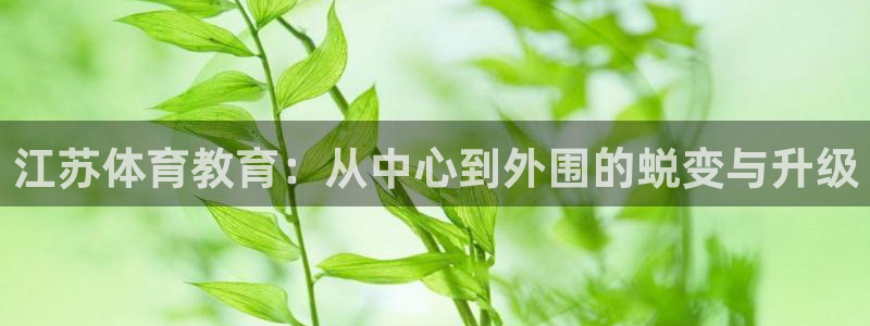 江苏体育教育：从中心到外围的蜕变与升级