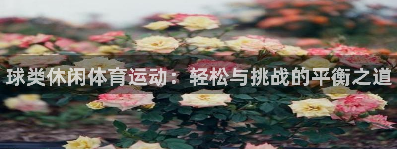 球类休闲体育运动：轻松与挑战的平衡之道
