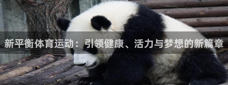 新平衡体育运动：引领健康、活力与梦想的新篇章