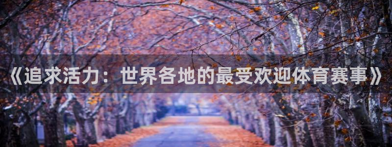 《追求活力：世界各地的最受欢迎体育赛事》