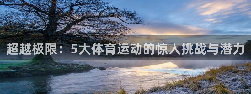 超越极限：5大体育运动的惊人挑战与潜力