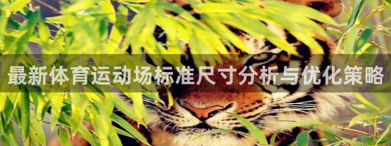 最新体育运动场标准尺寸分析与优化策略