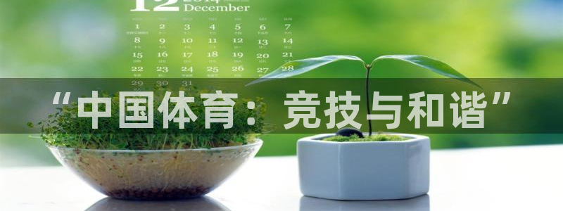 “中国体育：竞技与和谐”