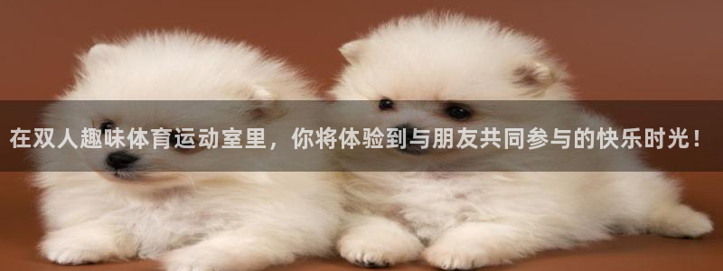 在双人趣味体育运动室里，你将体验到与朋友共同参与的快乐时光！